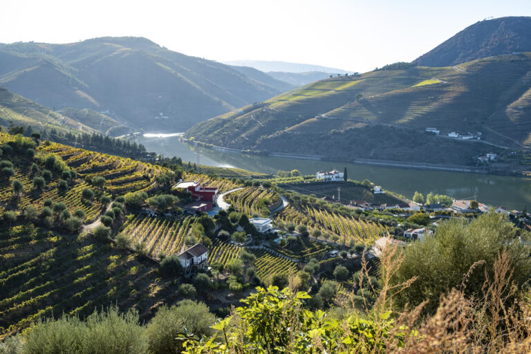 Portugisiska viner med bildvisning från vinresa till Duero 2 mars 2020