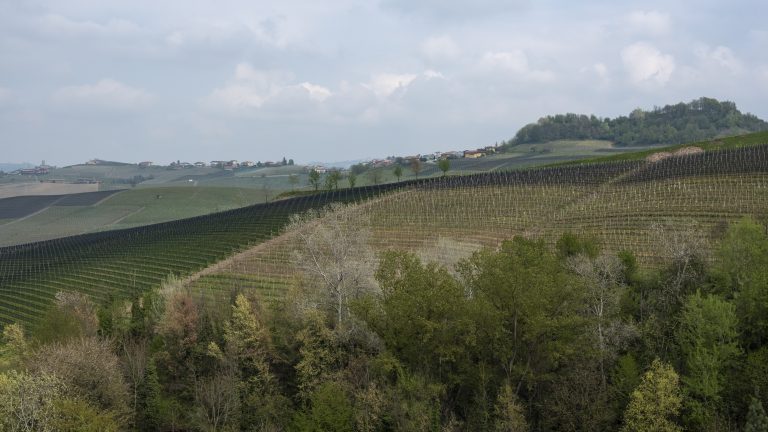 Äldre Piemonte & Toscana viner – 4 april 2023